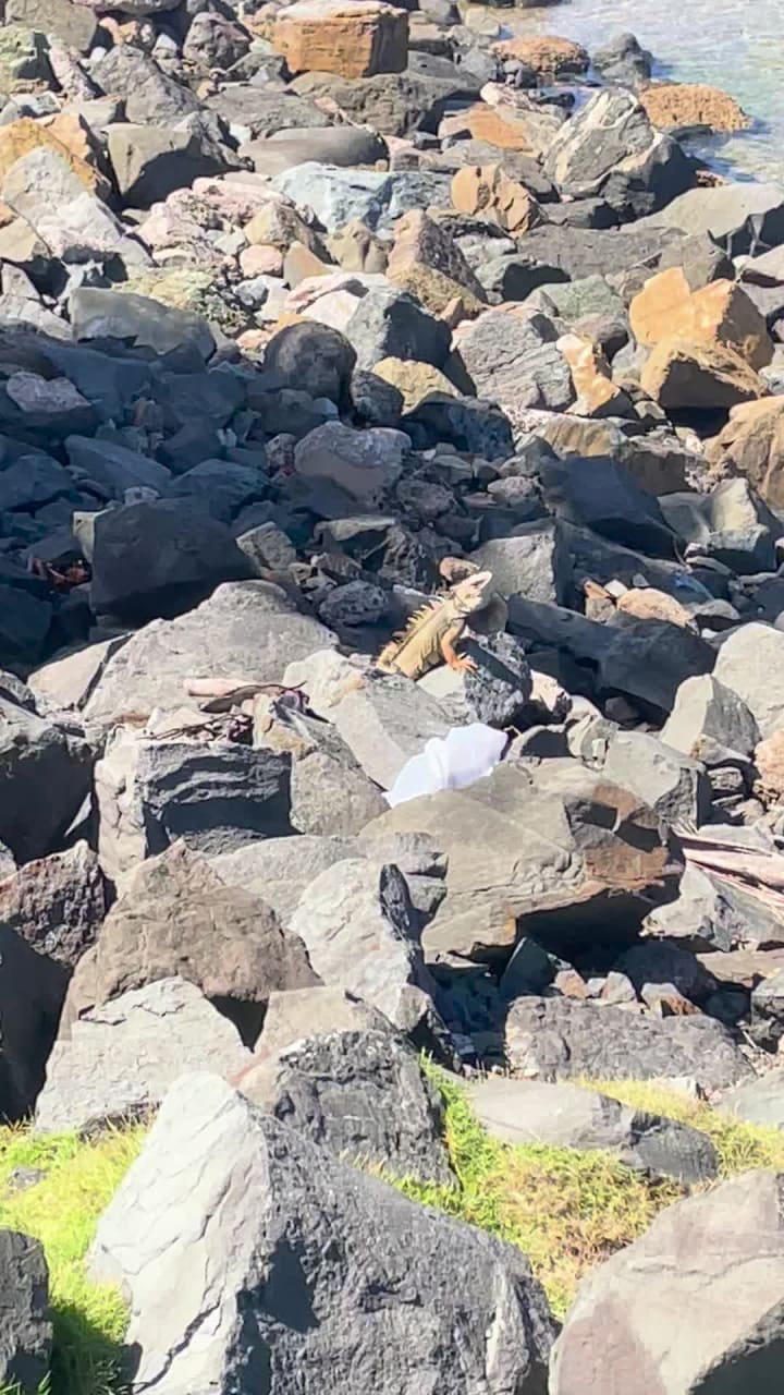 Video review of Old San Juan (Viejo San Juan)