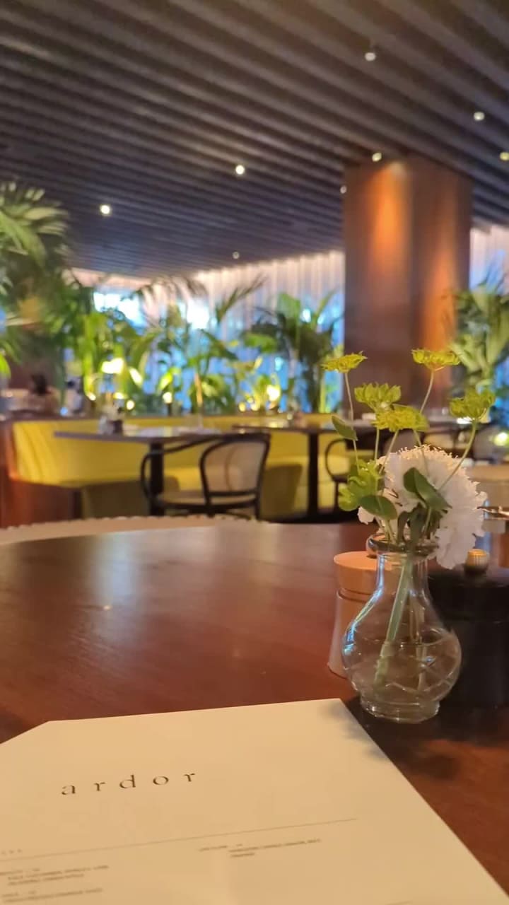 Video review of Ardor