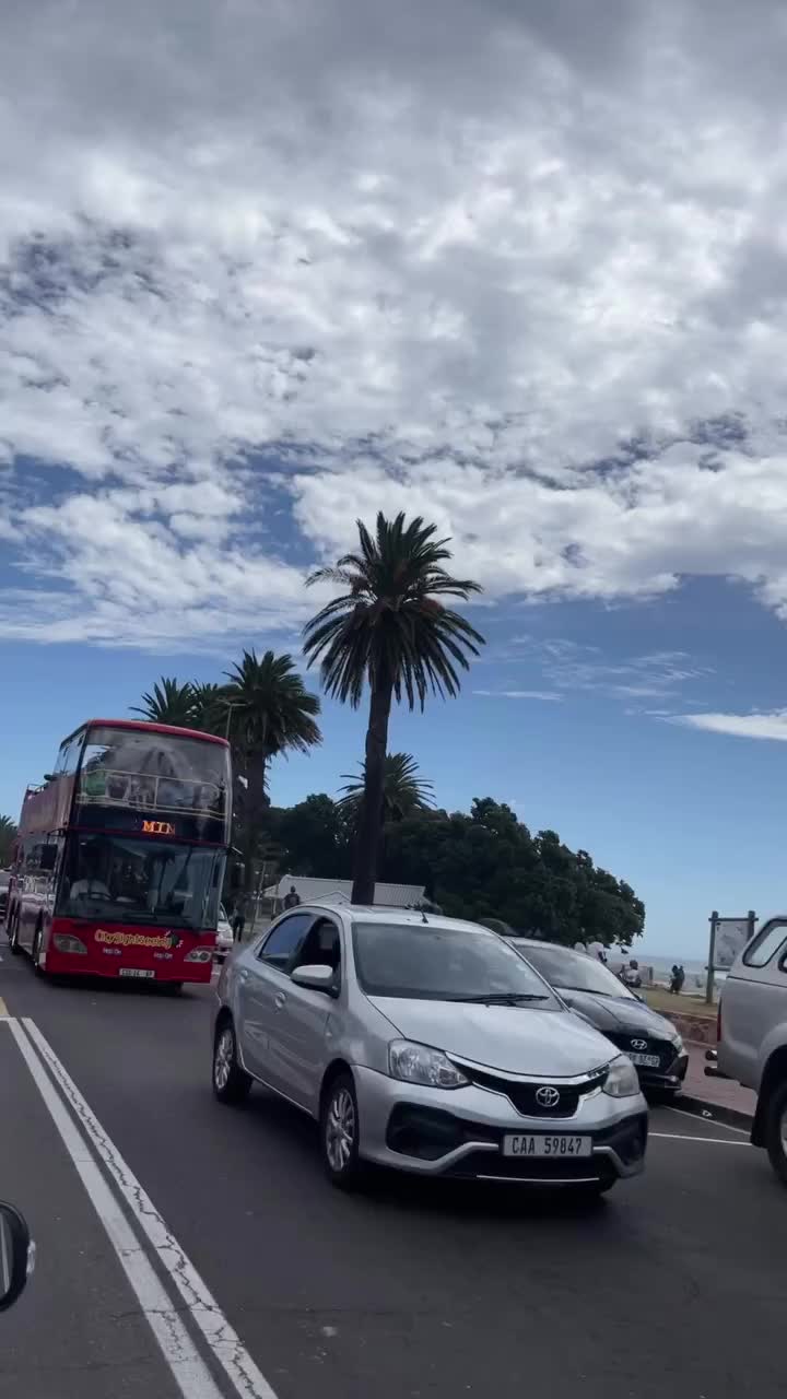 Video review of Zenzero