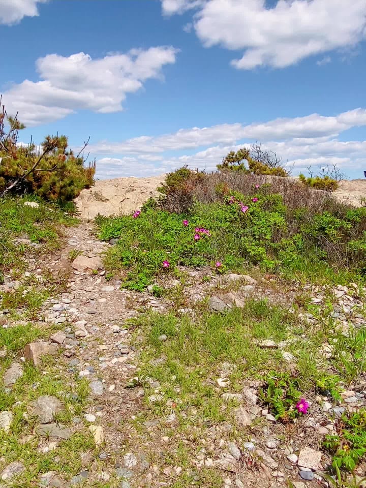 Video review of Cliff Walk