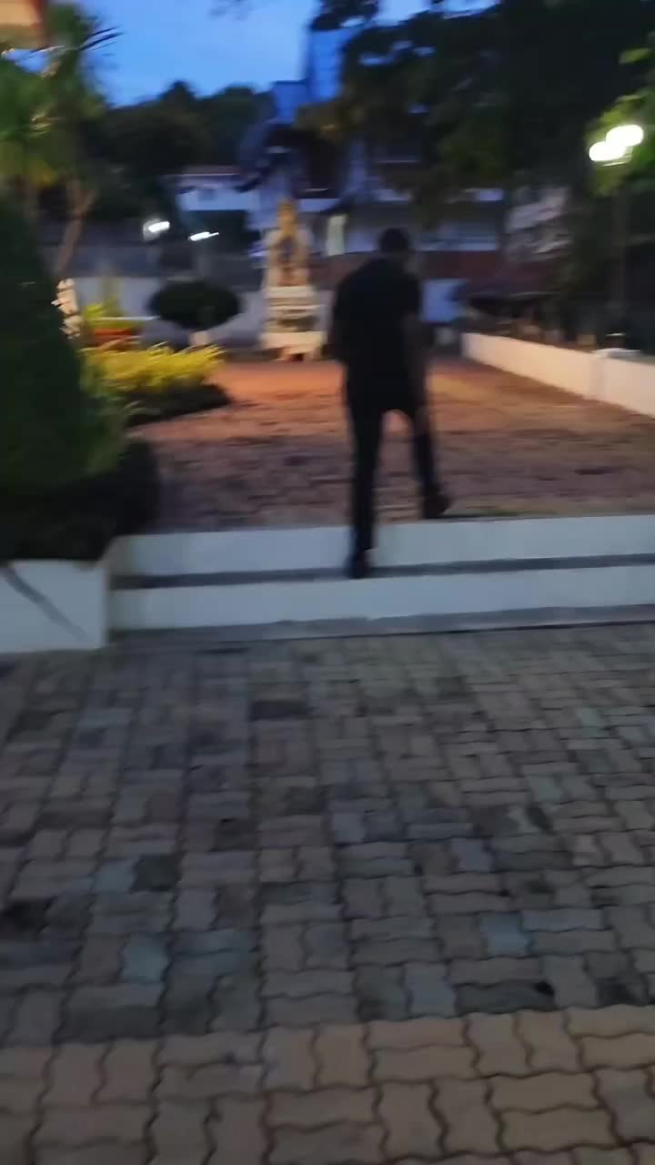 Video review of Three Monkeys Restaurant