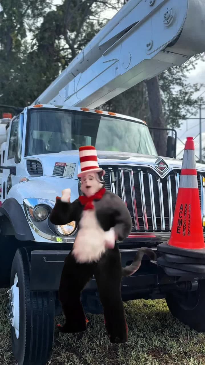 All Your Way Lawn, Tree, and Property Maintenance