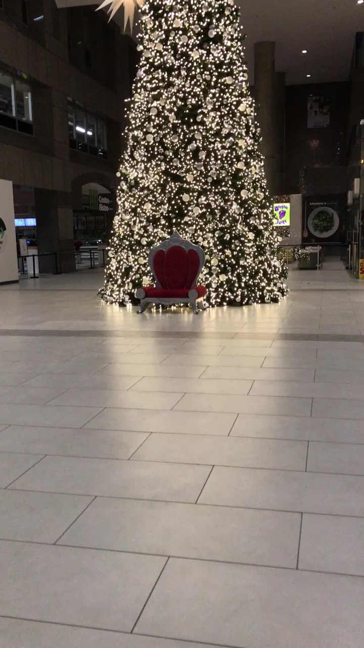 Video review of North York City Centre