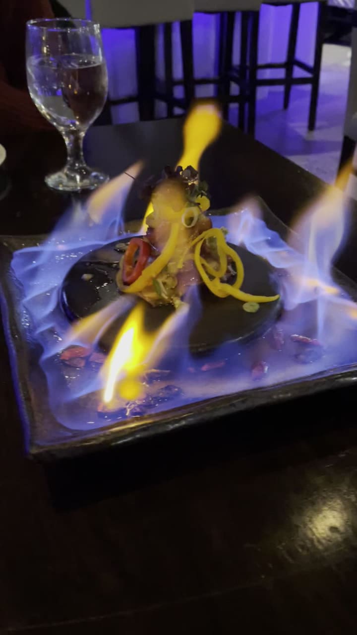 Video review of Purple Shell