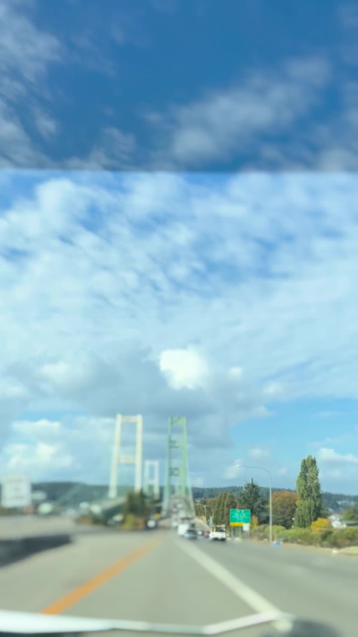 Narrows Bridge