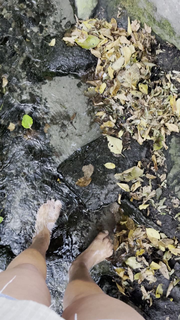 Video review of Golden Gardens Park