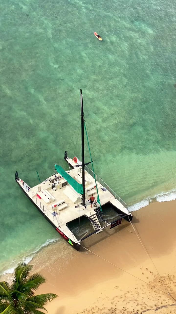 Video review of Waikiki Beach Walls