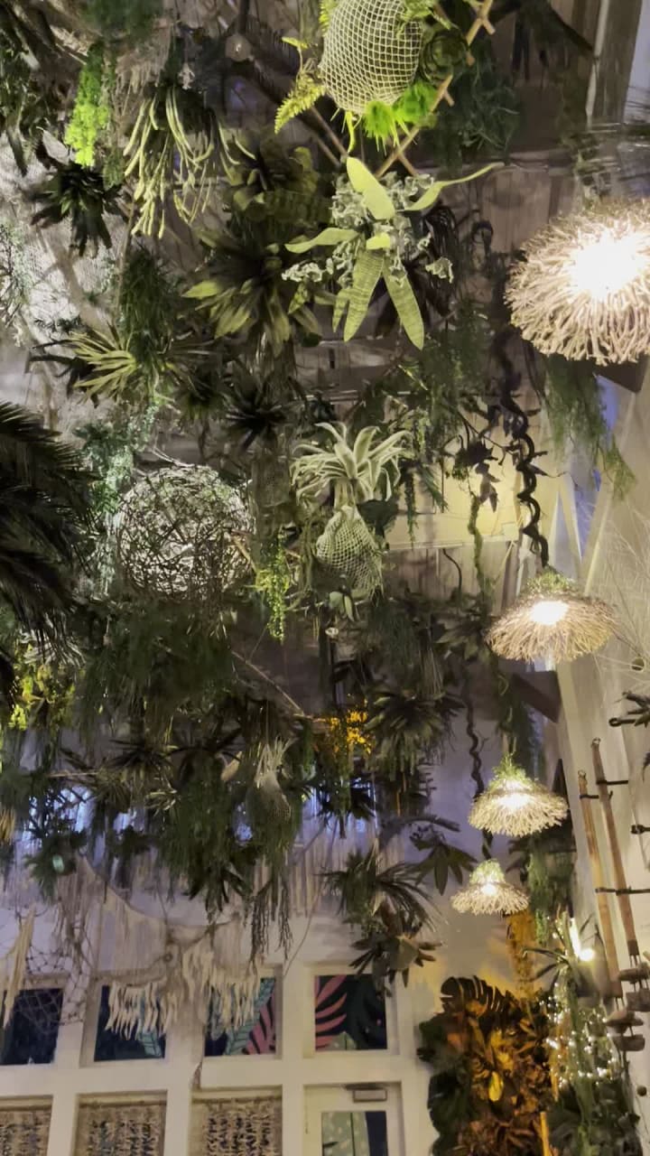 Hugo’s Lost Colony