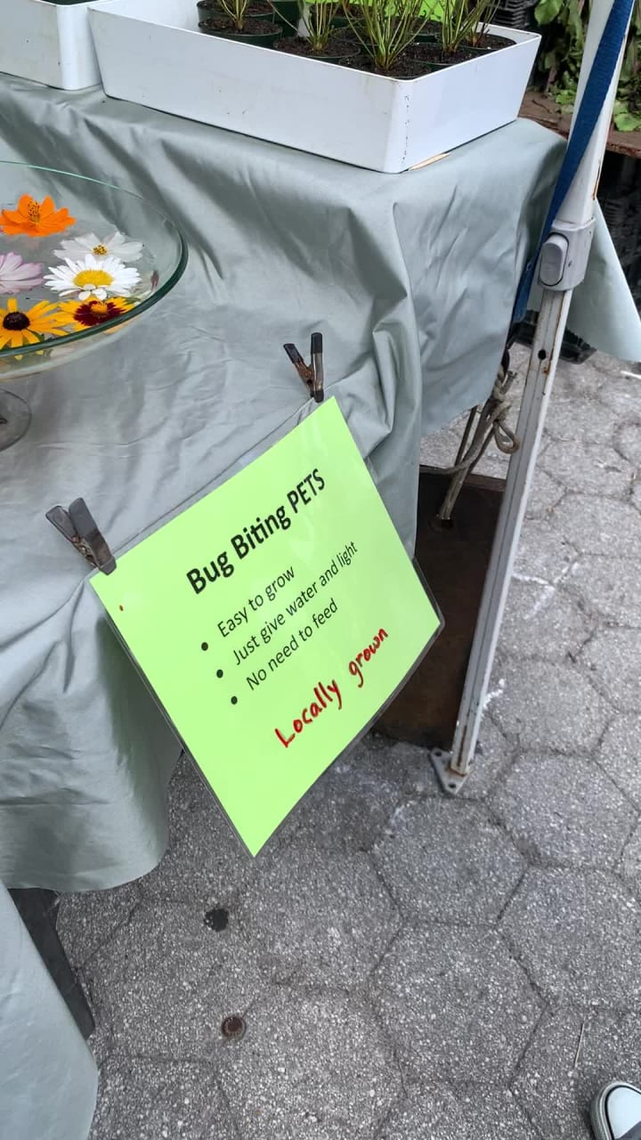 Video review of Union Square Greenmarket