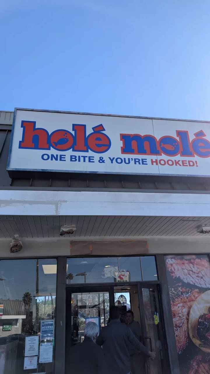 Video review of Hole Mole