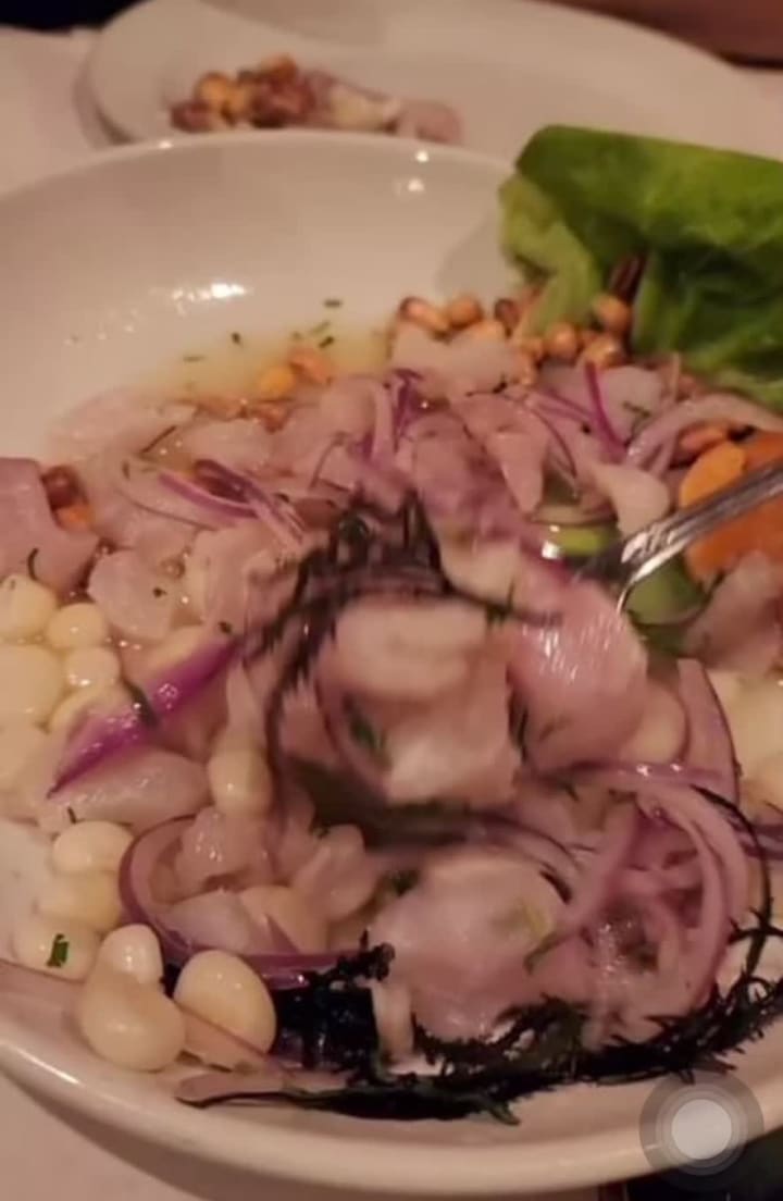 Video review of Pio Pio 8