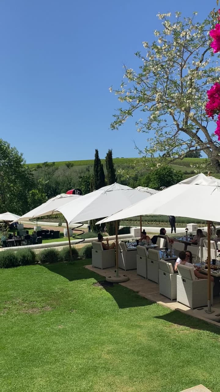 Aaldering Vineyards & Wines