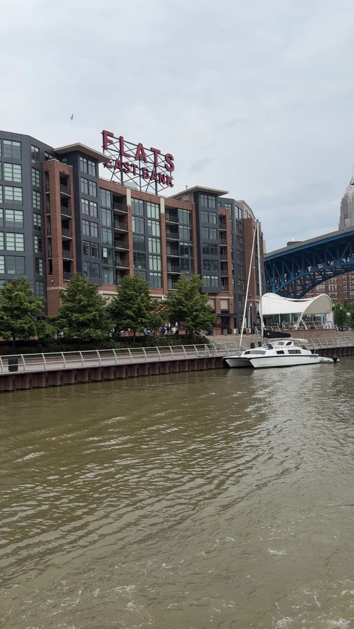 Alley Cat Oyster Bar