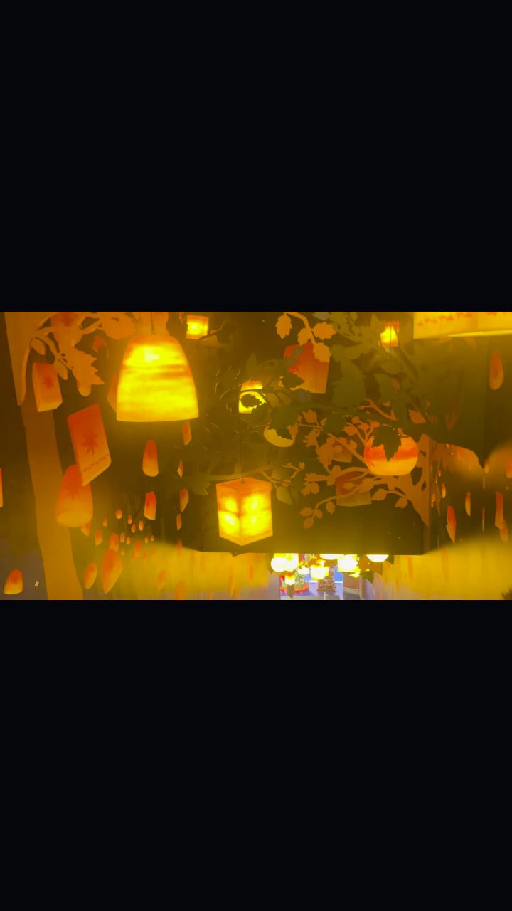 Video review of Disney Store