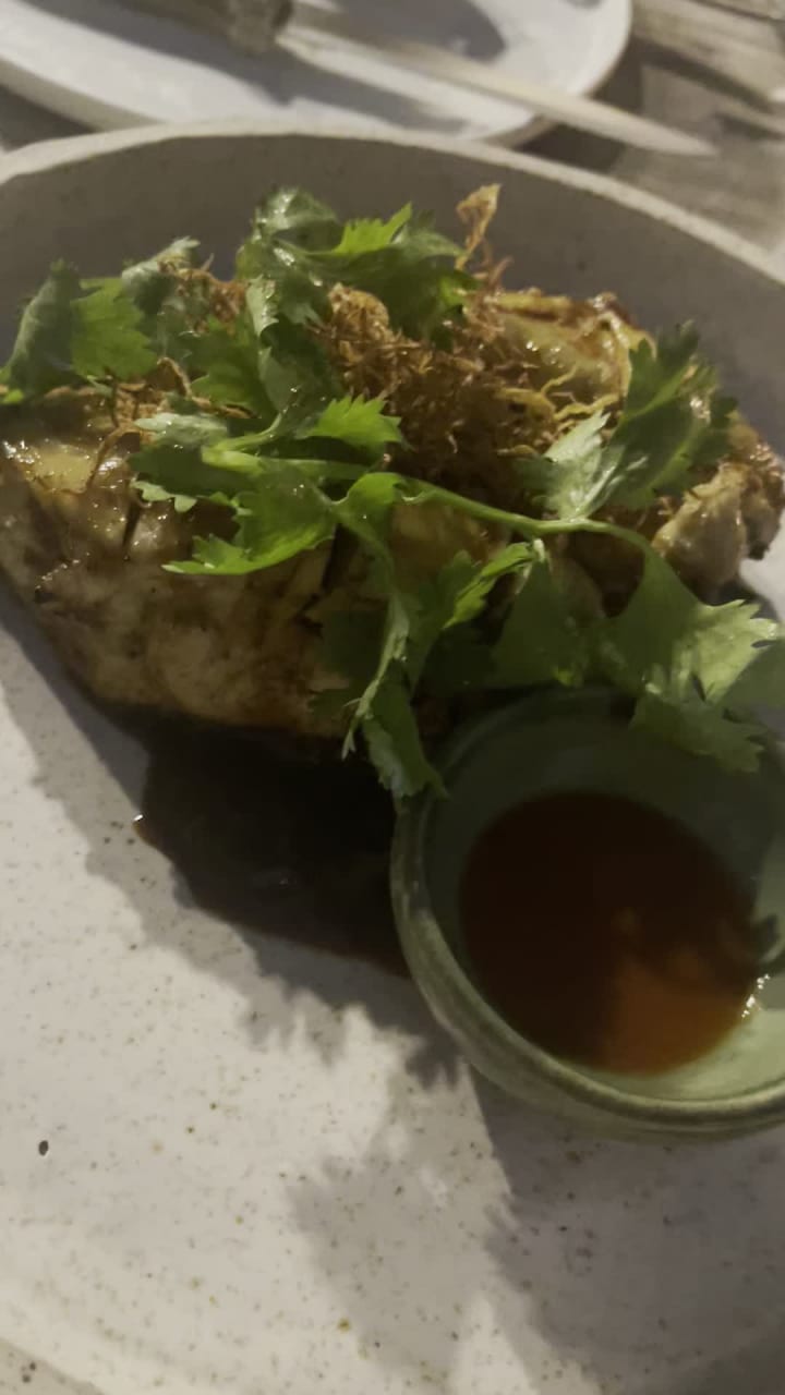 Video review of Lampara