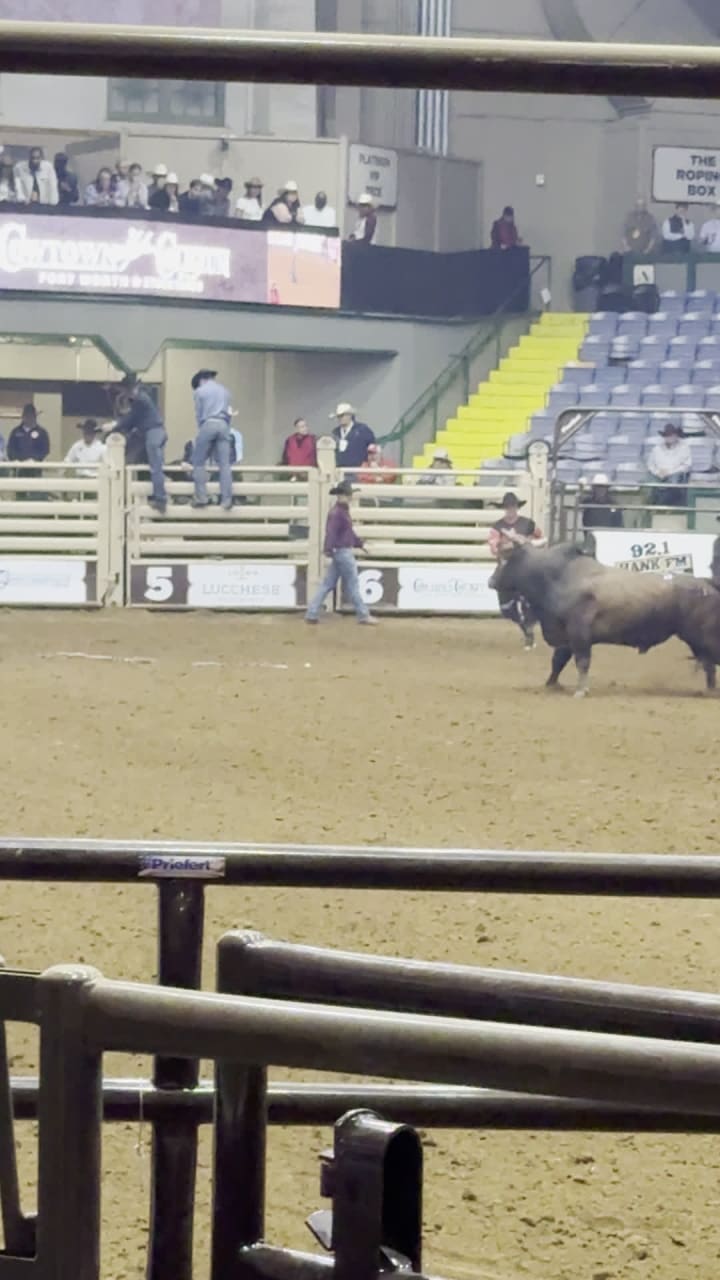 Video review of Cowtown Coliseum