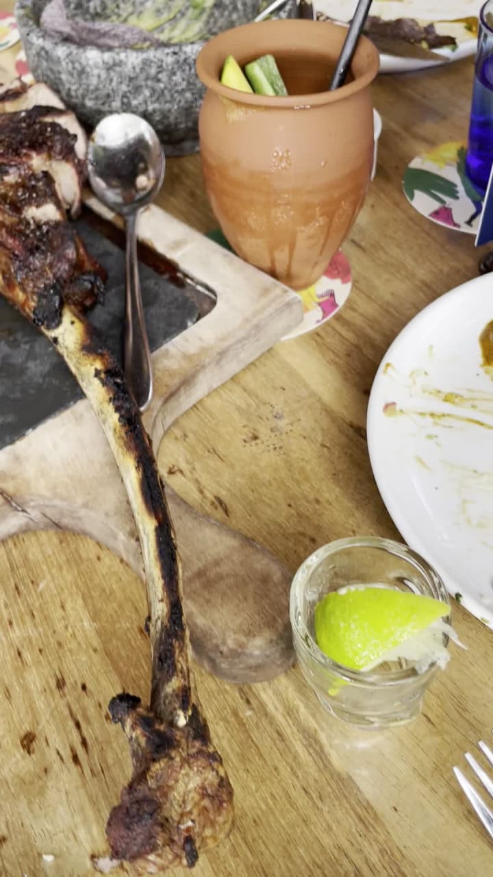 Video review of Bakan