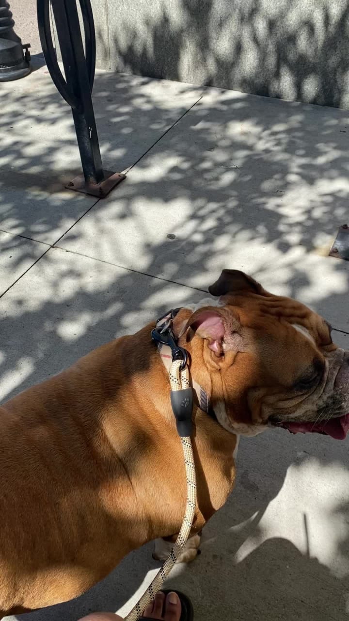 Video review of JACK Cleveland Casino