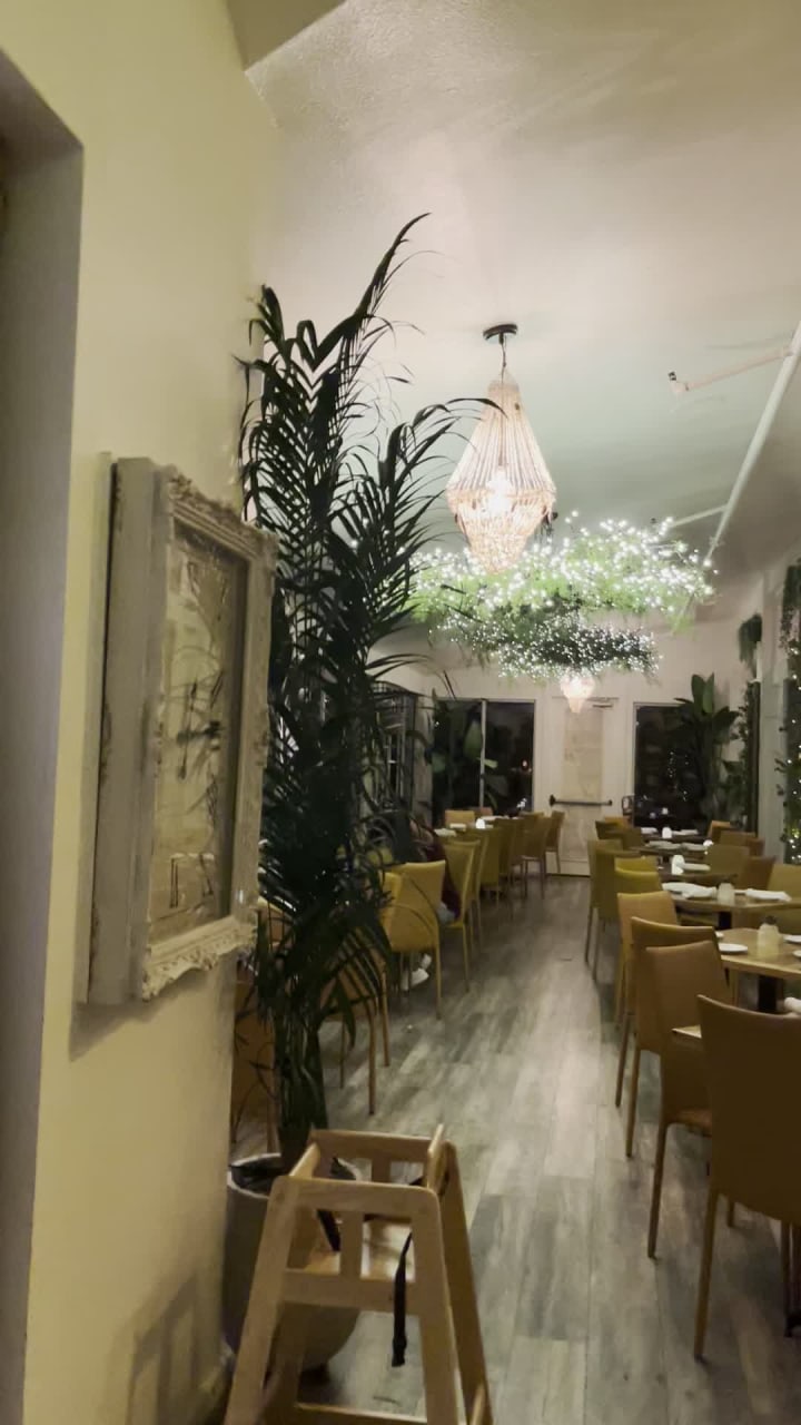 Hugo’s Lost Colony