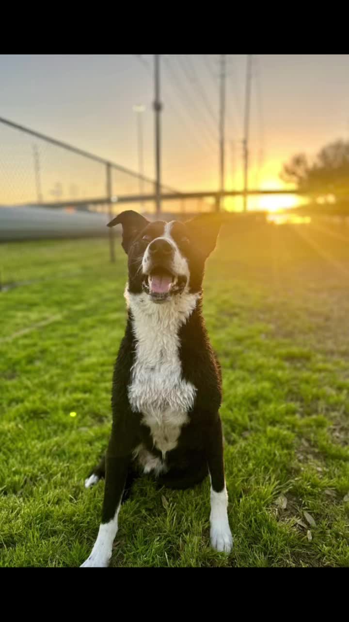 Video review of Levy Park