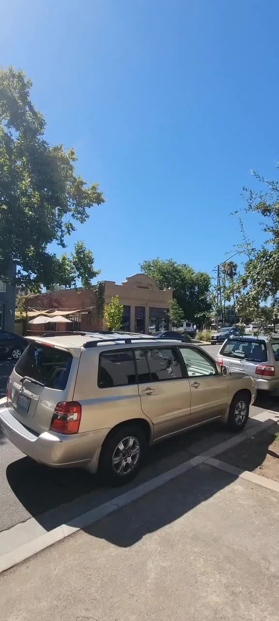 Video review of La Venadita