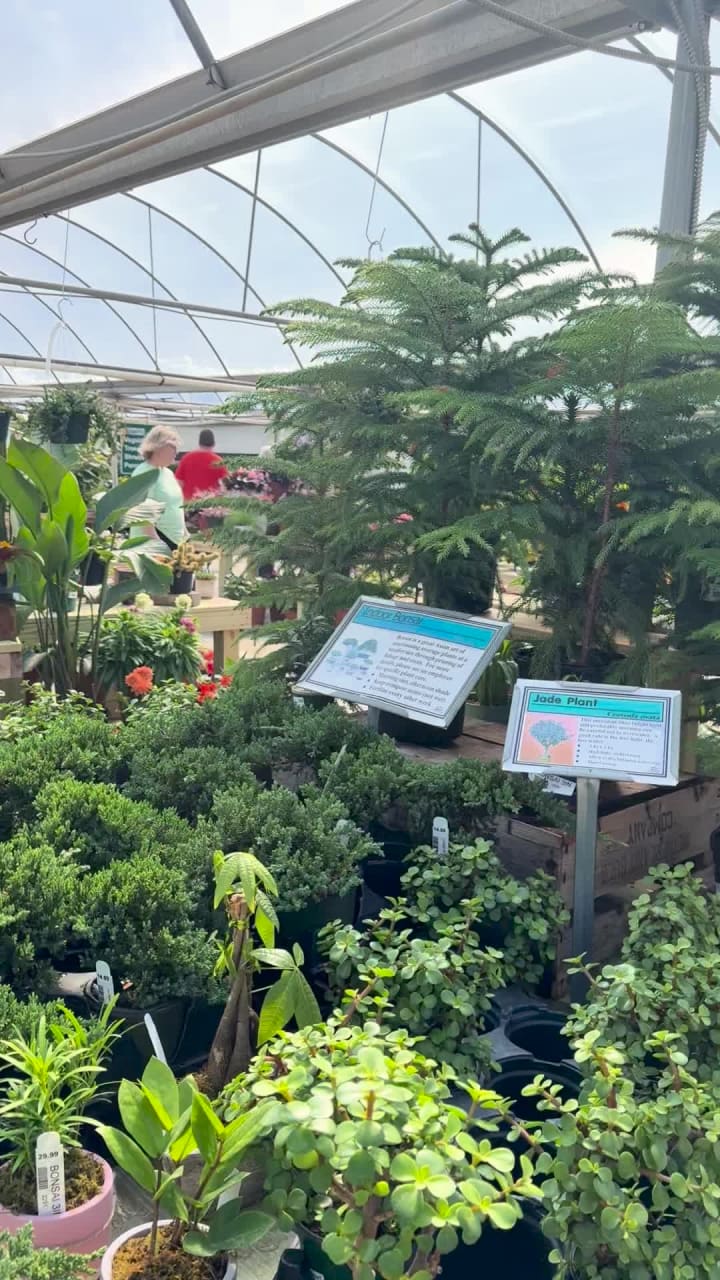 Fairview Garden Center