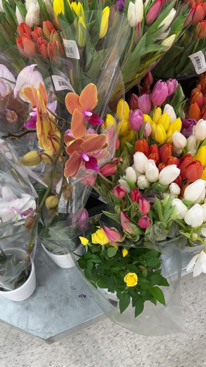 Video review of Real Canadian Superstore