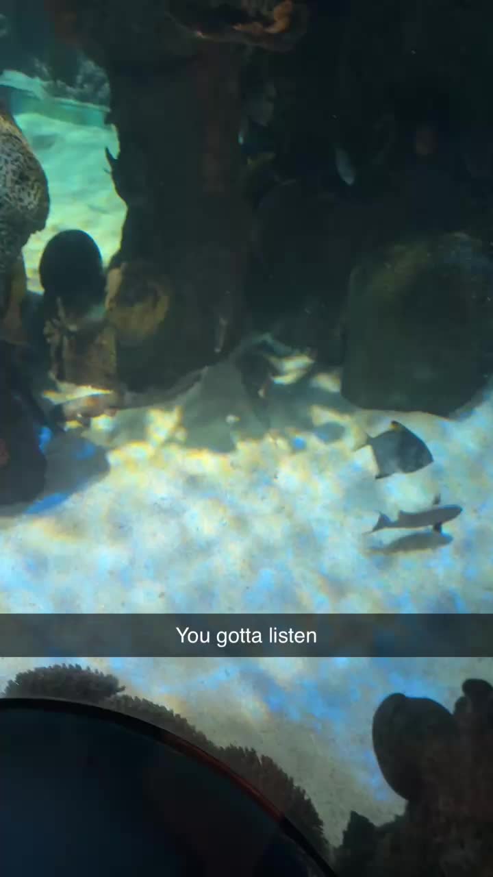 Video review of Johnny Rockets