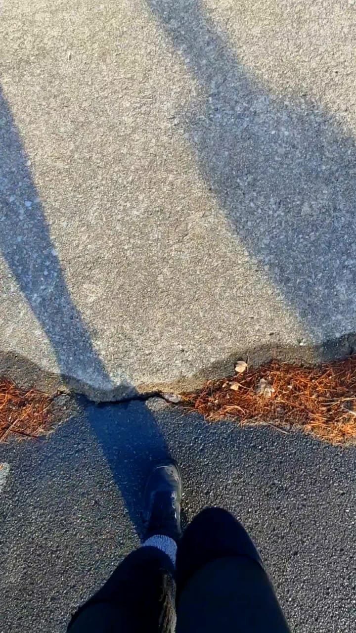 Cayuga Waterfront Trail