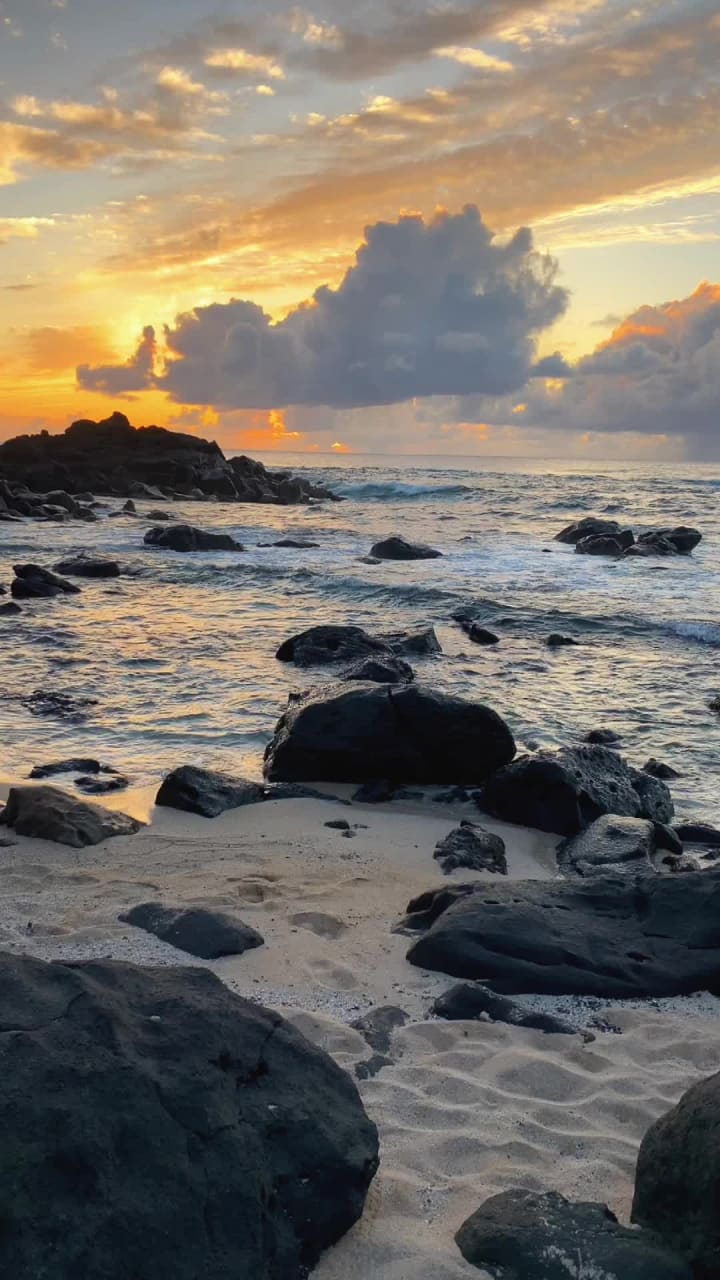 Video review of Laniakea (Turtle) Beach