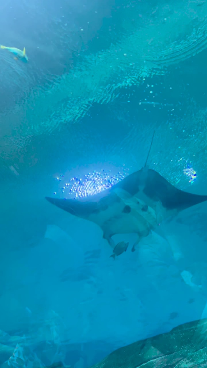 Video review of Ocean Voyager built by The Home Depot