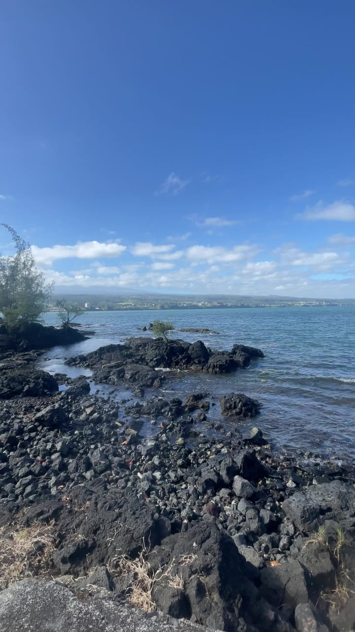 Video review of Lili‘uokalani Park And Gardens