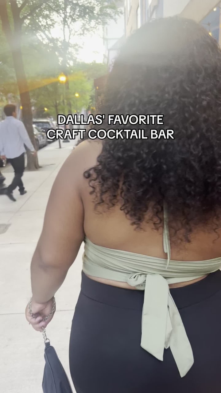 Video review of Parliament