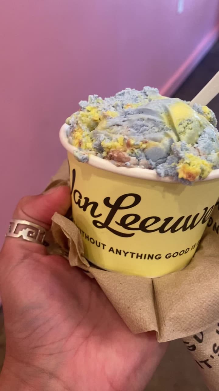 Video review of Van Leeuwen Ice Cream