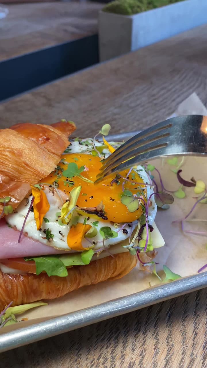 Video review of Alchemist Coffee Project at The Pearl