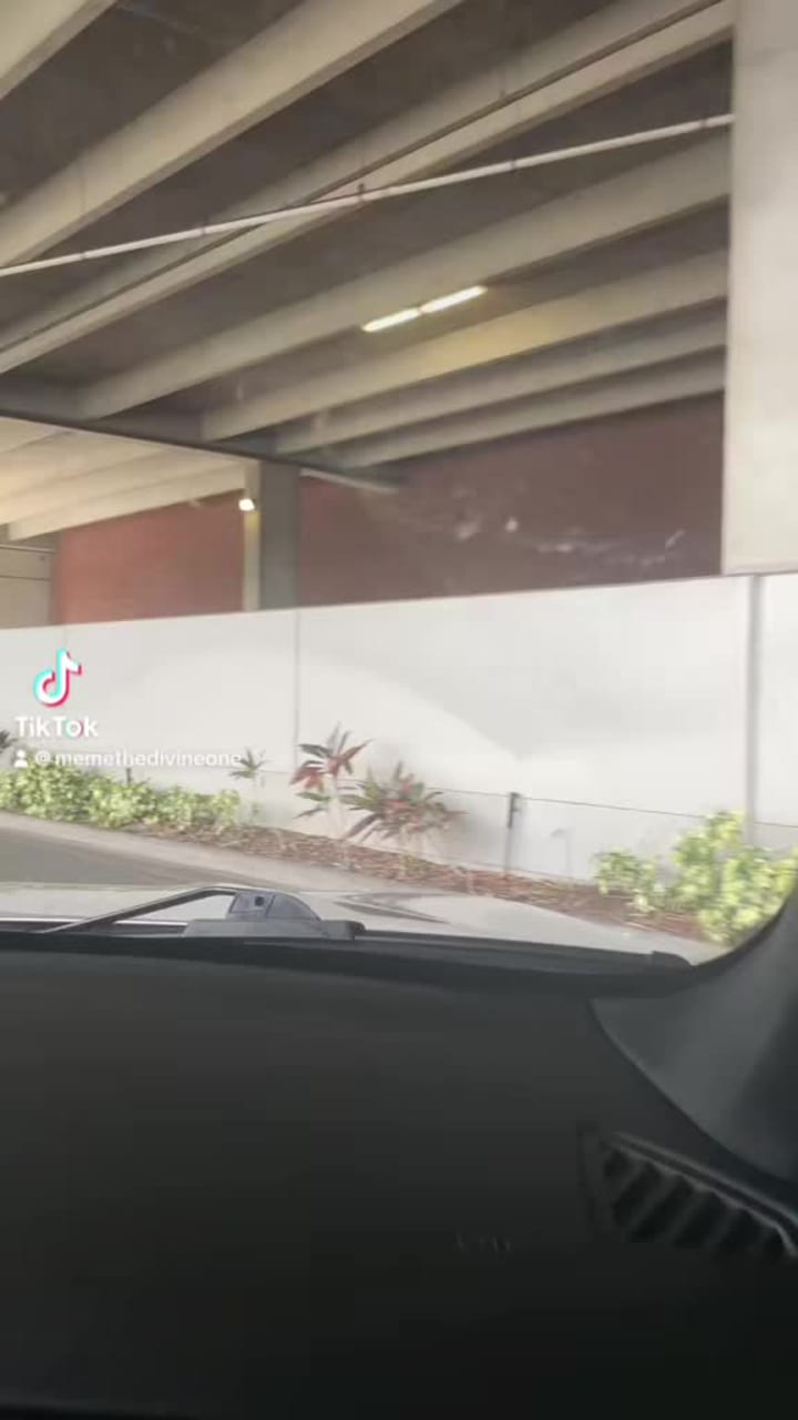 Video review of The Westshore Grand, A Tribute Portfolio Hotel, Tampa