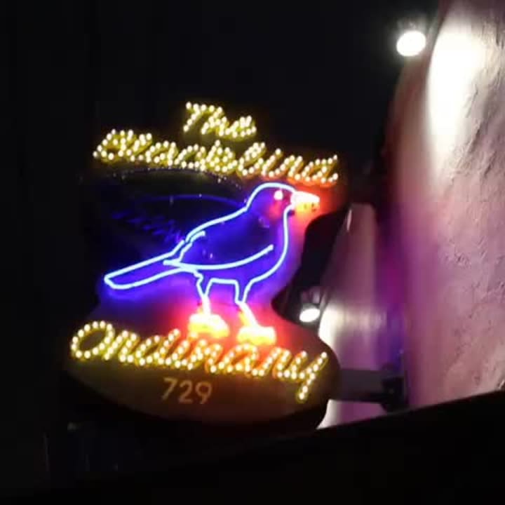 Video review of Blackbird Ordinary