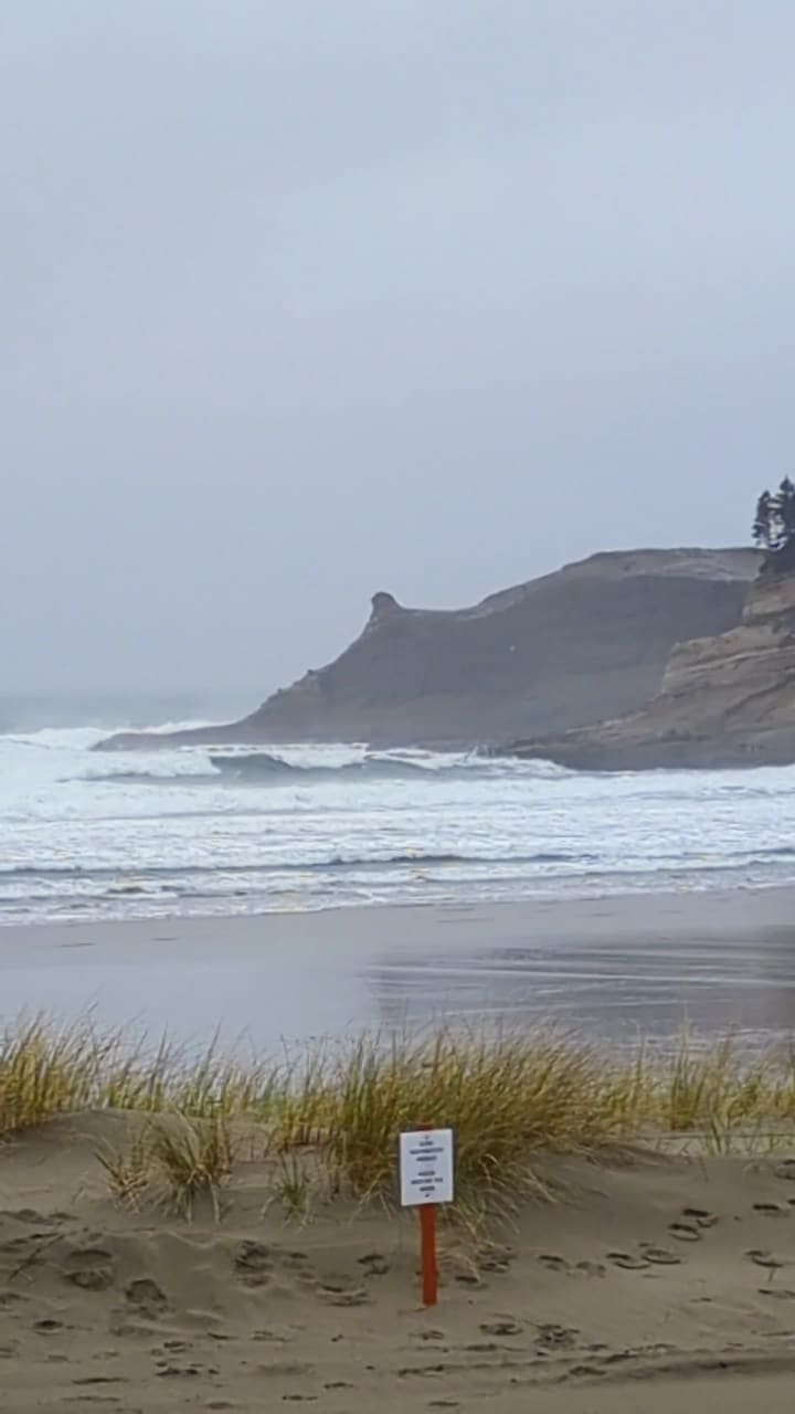 Pelican Brewing Company