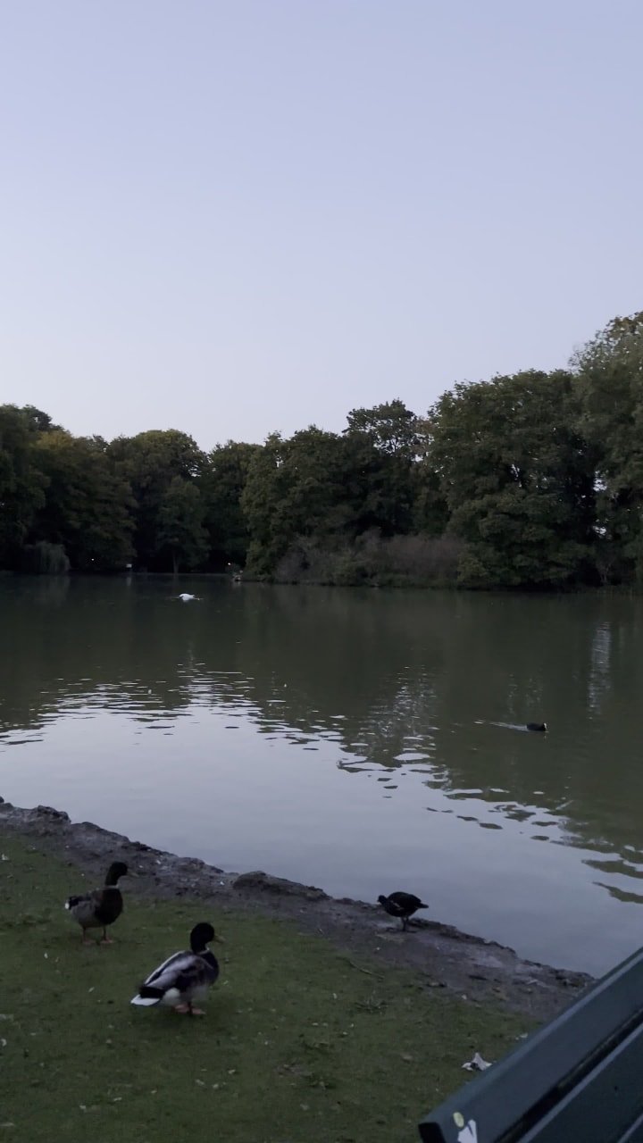 Video review of Englischer Garten