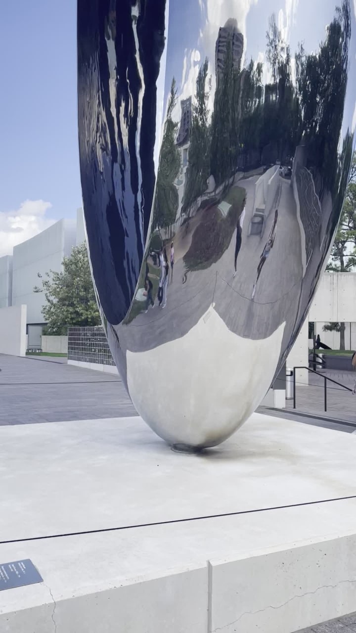 Video review of The Museum Of Fine Arts