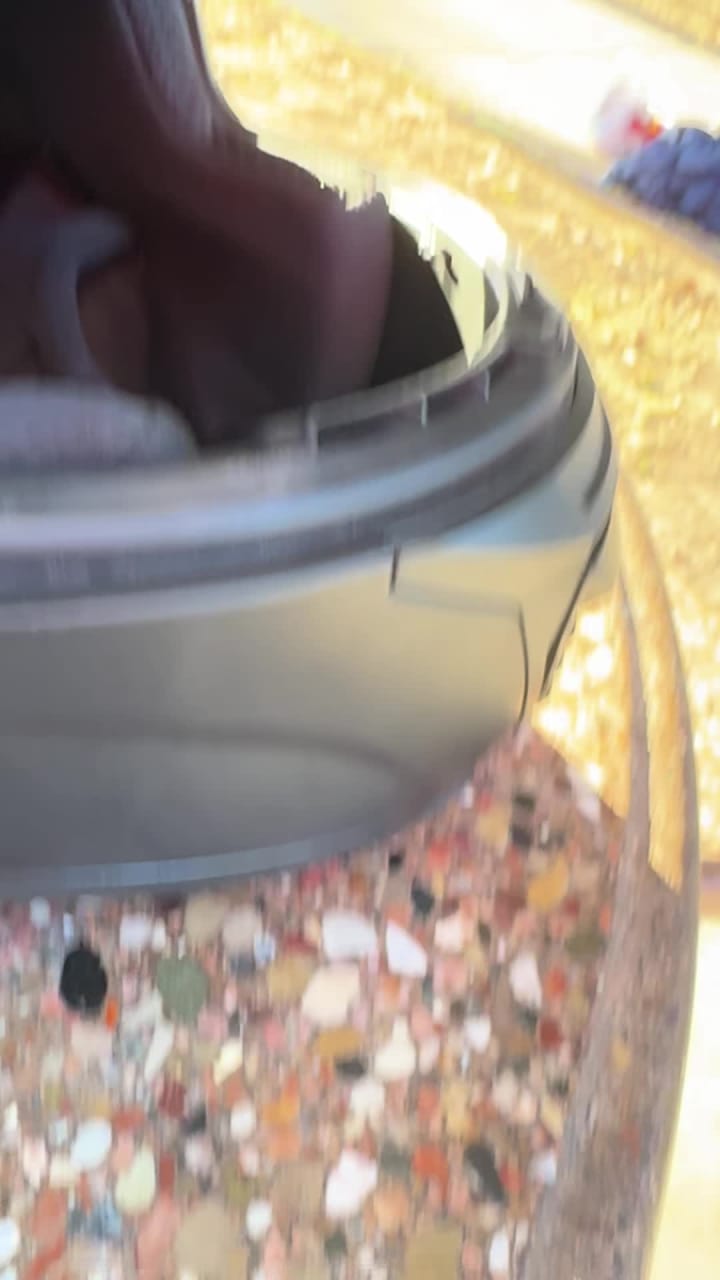 Video review of Wienerschnitzel