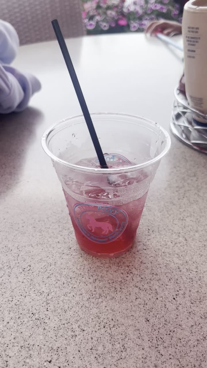 Video review of Pink Pony