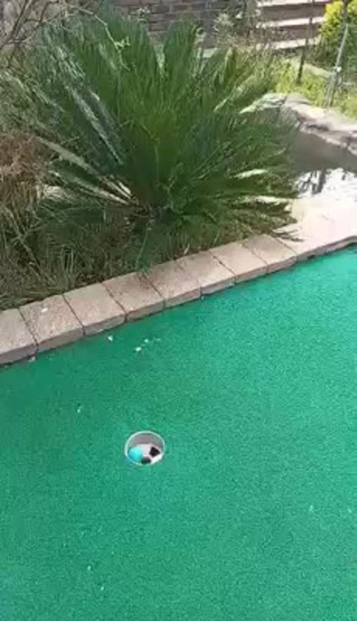 Adventure golf Randburg