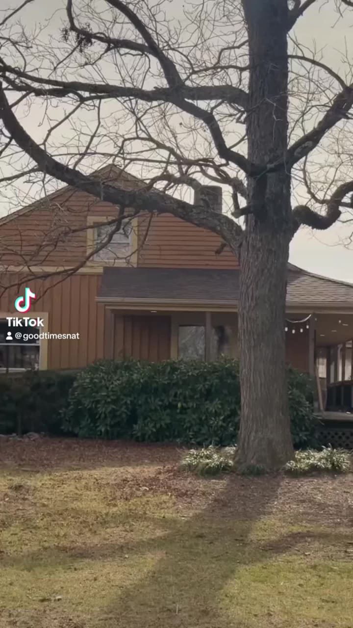 Divine Llama Vineyard