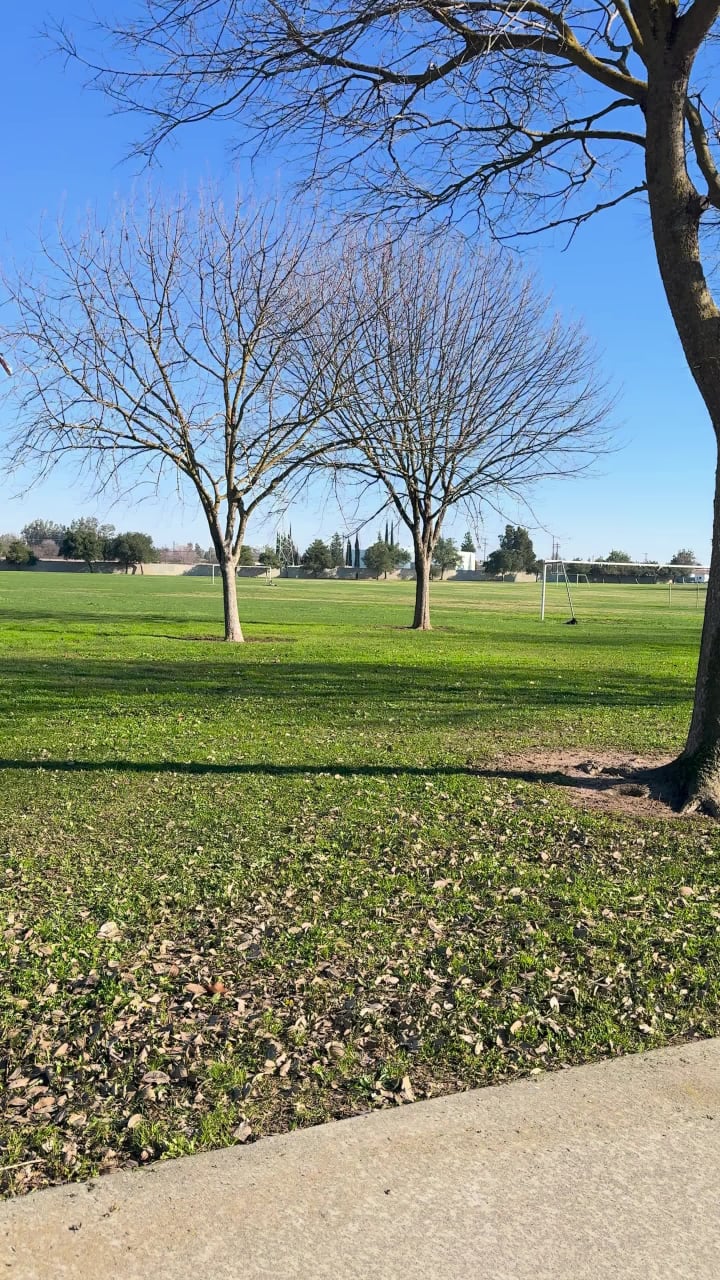 Robla Community Park 