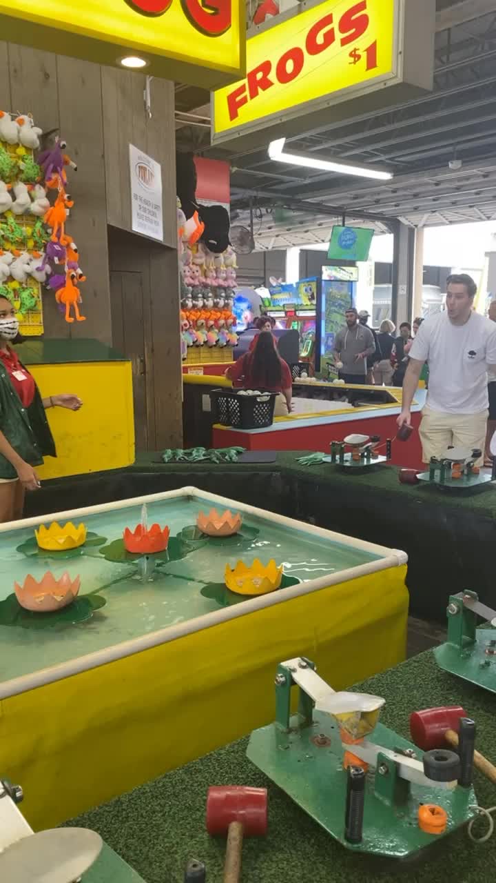 Video review of Funland