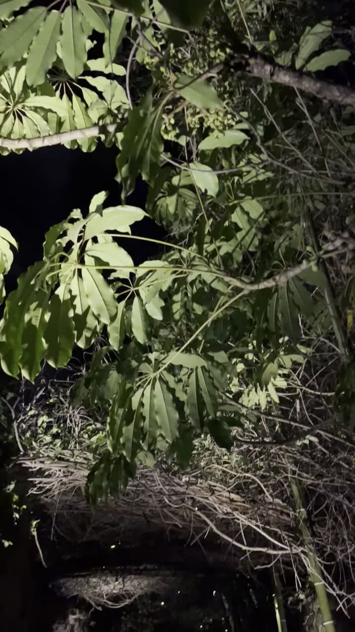 Video review of Stone Brewing World Bistro & Gardens