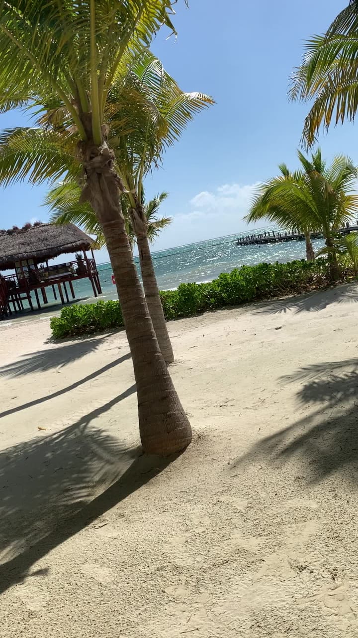 Jet Ski Cancun - Rentals & Tours