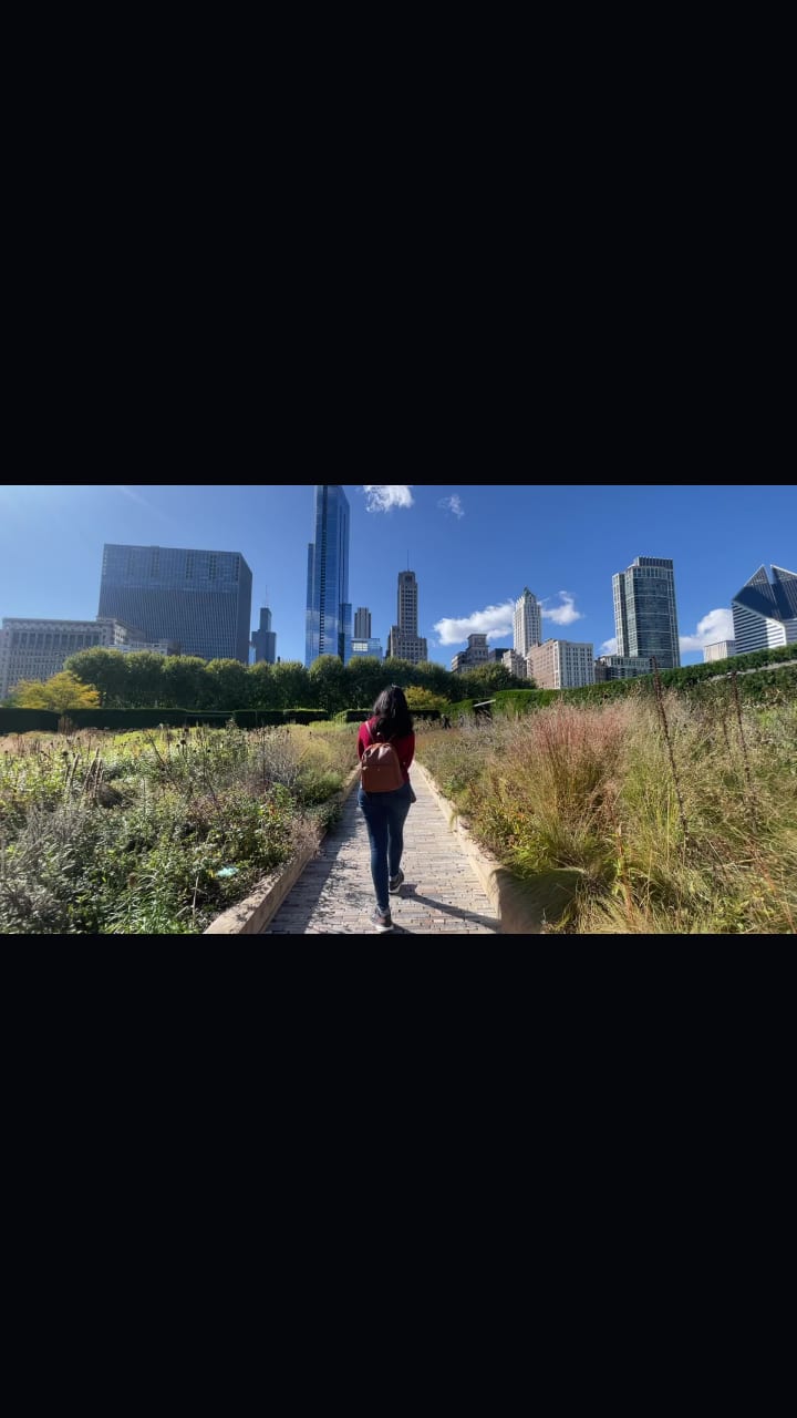 Video review of Lurie Garden