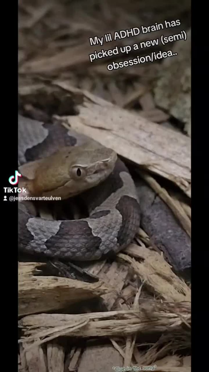 Kernersville Reptile Zoo & Rescue